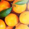 Flavor :  Cheesecake Tangerine par VAPELAND JUICE