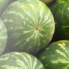 Flavor :  Melone Bubbles by Vapeland Juice