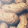 Flavor :  Peanut Butter Cookie by Vapeland Juice