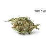 Flavor :  Cannabis Tabak by Vape Rebelz