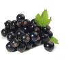 Flavor :  Cassis by Vape Rebelz