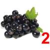 Flavor :  Cassis No 2 by Vape Rebelz