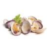 Flavor :  Muscheln by Vape Rebelz