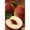 Flavor :  Natural Peach by VapeRite