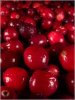 Flavor :  Cranberry by VapingZone