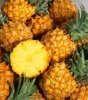 Flavor :  Pineapple by VapingZone