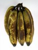 Flavor :  Ripe Banana by VapingZone