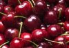 Flavor :  SC Cherry by VapingZone