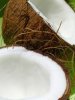 Flavor :  SC Coconut by VapingZone