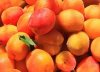 Flavor :  SC Gourmet Apricot by VapingZone