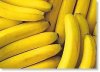 Flavor :  SC Gourmet Banana by VapingZone