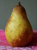 Flavor :  SC Gourmet New Duchess Pear by VapingZone
