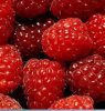 Flavor :  SC Gourmet Raspberry by VapingZone