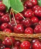 Flavor :  SC Gourmet Sweet Cherry by VapingZone