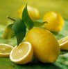 Flavor :  SC Lemon by VapingZone