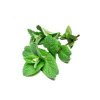 Flavor :  SC Menthol by VapingZone