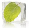Flavor :  SC Menthol Ice par VAPINGZONE