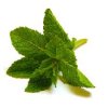 Flavor :  SC Spearmint by VapingZone