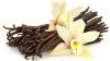 Flavor :  SC Vanilla by VapingZone