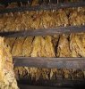 Flavor :  SC Virginia Flu Cured Tobacco by VapingZone