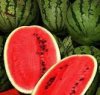 Flavor :  Watermelon by VapingZone