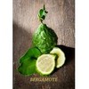 Flavor :  Bergamote by VapMisty