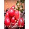 Flavor :  Cerise Naturelle by VapMisty