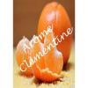 Flavor :  Clementine by VapMisty