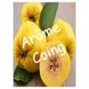 Flavor :  Coing by VapMisty