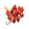 Flavor :  Cranberry by VapMisty