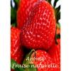Flavor :  Fraise Naturelle by VapMisty