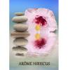 Flavor :  Hibiscus by VapMisty