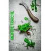 Flavor :  Menthe Fraiche by VapMisty