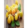 Flavor :  Prune by VapMisty
