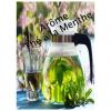 Flavor :  The A La Menthe by VapMisty