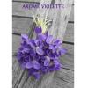Flavor :  Violette by VapMisty