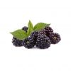 Flavor :  Boysenberry by VAPO