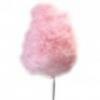 Flavor :  Barbe A Papa by Vapodiscount