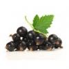 Flavor :  Cassis by Vapodiscount