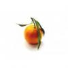 Flavor :  Clementine by Vapodiscount