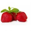 Flavor :  Fraise by Vapodiscount