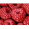 Flavor :  Framboise by Vapodiscount