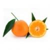 Flavor :  Mandarine by Vapodiscount
