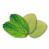 Flavor :  Menthe Eucalyptus by Vapodiscount