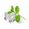 Flavor :  Menthe Forte Glaciale by Vapodiscount