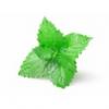 Flavor :  Menthe Verte by Vapodiscount
