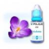 Arme :  violette par Vapolique