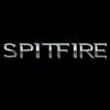 Flavor :  Spitfire by Vapor Cave