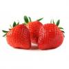 Flavor :  Fraise by Vaposite