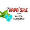Flavor :  Menthe Eucalyptus by Vaposite